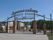 Птичья гавань